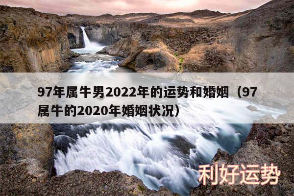 97年属牛男2024年的运势和婚姻以及97属牛的2020年婚姻状况