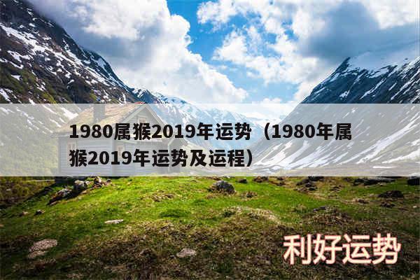 1980属猴2019年运势以及1980年属猴2019年运势及运程