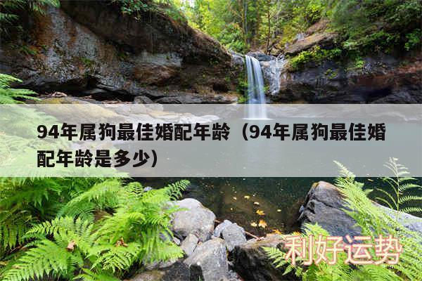 94年属狗最佳婚配年龄以及94年属狗最佳婚配年龄是多少