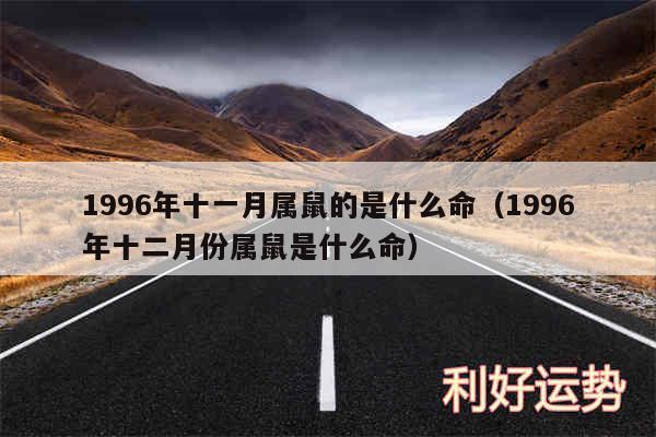 1996年十一月属鼠的是什么命以及1996年十二月份属鼠是什么命