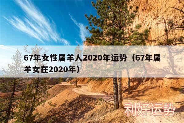 67年女性属羊人2020年运势以及67年属羊女在2020年