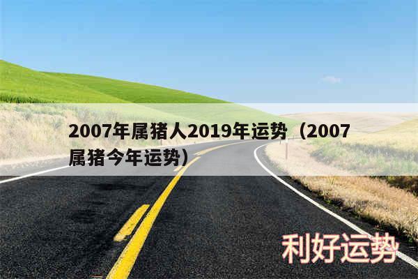 2007年属猪人2019年运势以及2007属猪今年运势