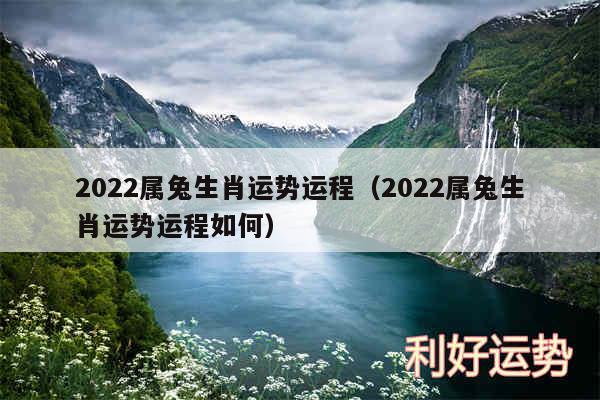 2024属兔生肖运势运程以及2024属兔生肖运势运程如何