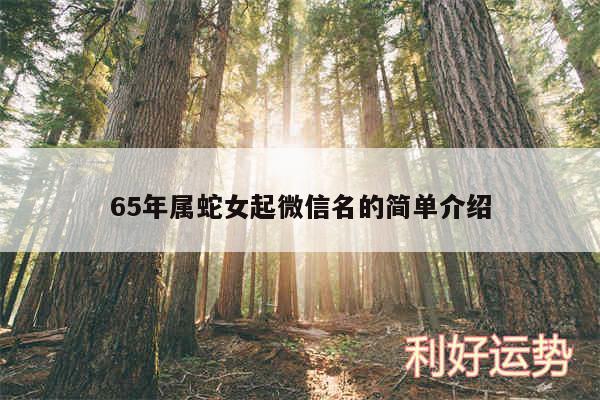 65年属蛇女起微信名的简单介绍