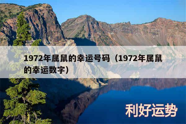 1972年属鼠的幸运号码以及1972年属鼠的幸运数字