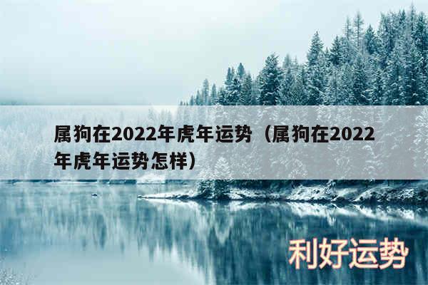 属狗在2024年虎年运势以及属狗在2024年虎年运势怎样