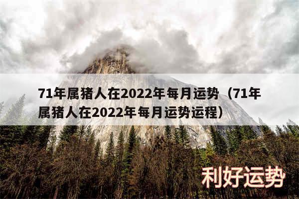 71年属猪人在2024年每月运势以及71年属猪人在2024年每月运势运程