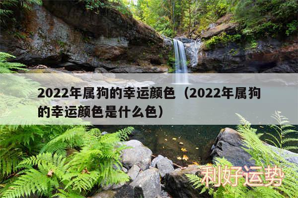 2024年属狗的幸运颜色以及2024年属狗的幸运颜色是什么色