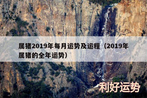 属猪2019年每月运势及运程以及2019年属猪的全年运势