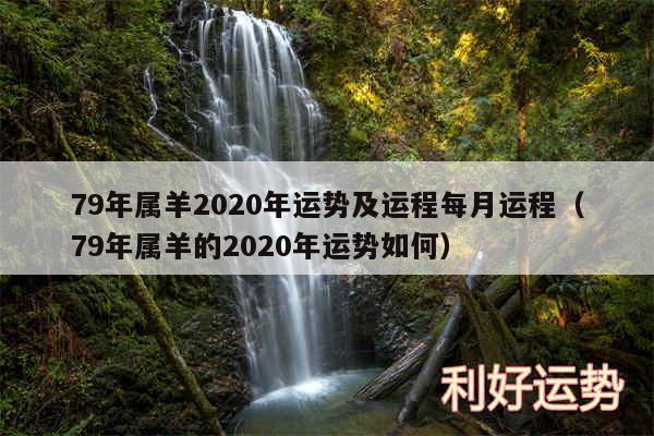 79年属羊2020年运势及运程每月运程以及79年属羊的2020年运势如何