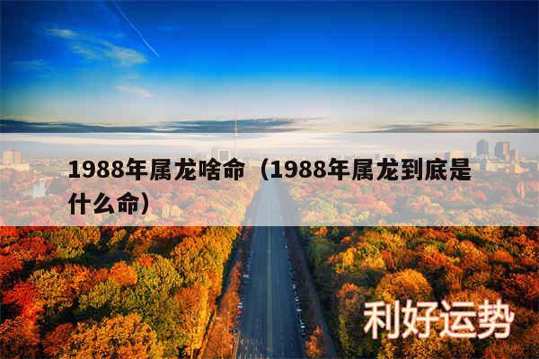 1988年属龙啥命以及1988年属龙到底是什么命