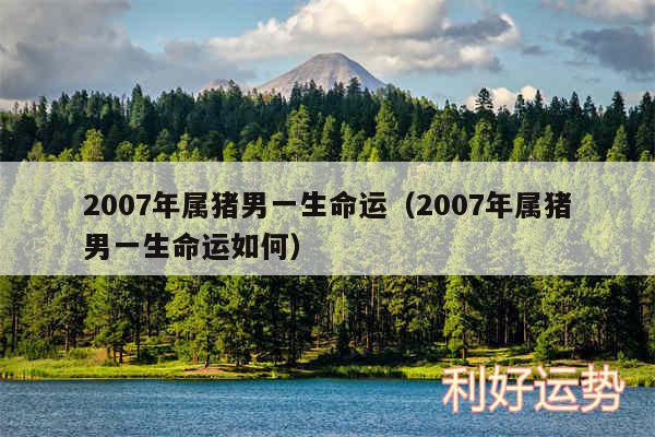 2007年属猪男一生命运以及2007年属猪男一生命运如何