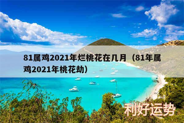 81属鸡2024年烂桃花在几月以及81年属鸡2024年桃花劫