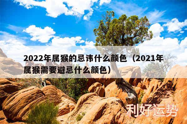 2024年属猴的忌讳什么颜色以及2024年属猴需要避忌什么颜色