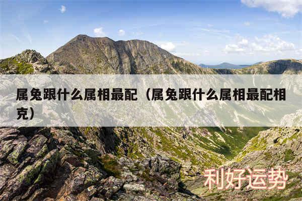 属兔跟什么属相最配以及属兔跟什么属相最配相克