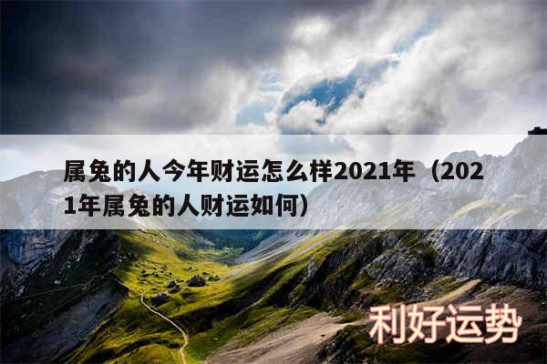 属兔的人今年财运怎么样2024年以及2024年属兔的人财运如何