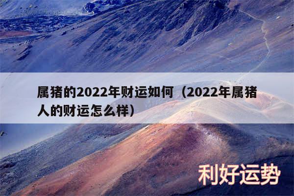 属猪的2024年财运如何以及2024年属猪人的财运怎么样