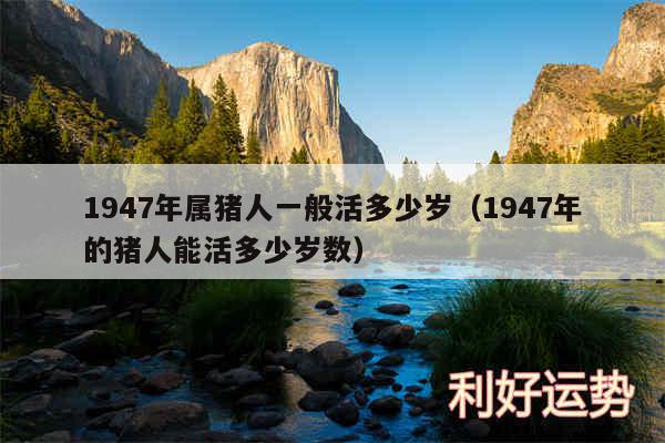 1947年属猪人一般活多少岁以及1947年的猪人能活多少岁数