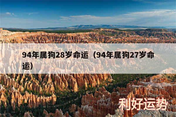 94年属狗28岁命运以及94年属狗27岁命运