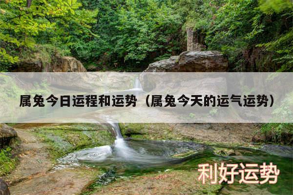 属兔今日运程和运势以及属兔今天的运气运势