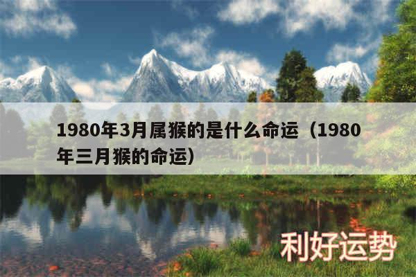 1980年3月属猴的是什么命运以及1980年三月猴的命运