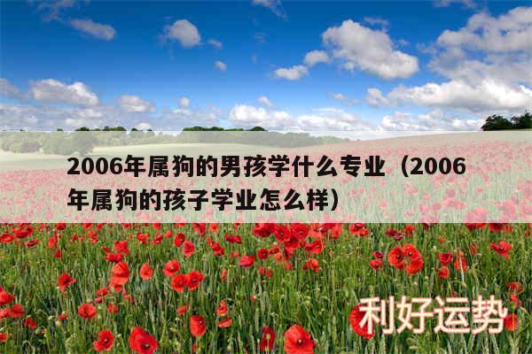 2006年属狗的男孩学什么专业以及2006年属狗的孩子学业怎么样