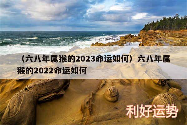 以及六八年属猴的2024命运如何六八年属猴的2024命运如何