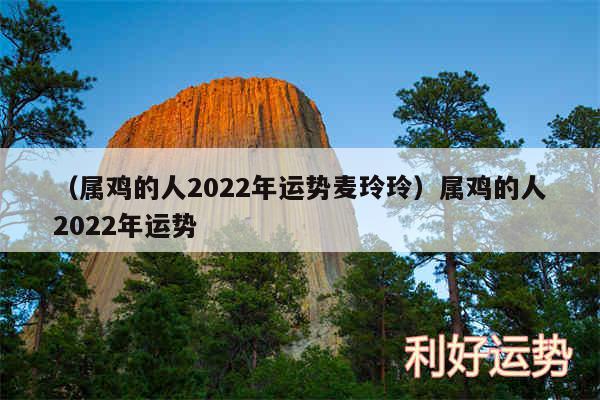 以及属鸡的人2024年运势麦玲玲属鸡的人2024年运势