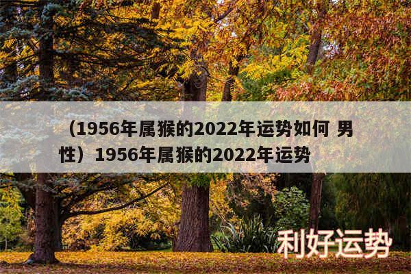 以及1956年属猴的2024年运势如何 男性1956年属猴的2024年运势