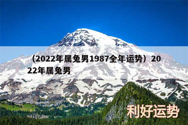 以及2024年属兔男1987全年运势2024年属兔男