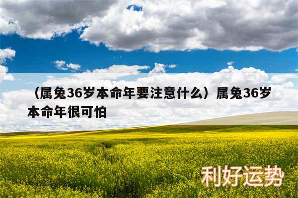 以及属兔36岁本命年要注意什么属兔36岁本命年很可怕