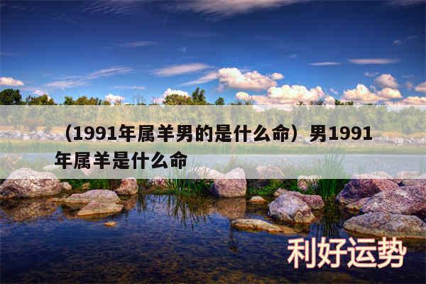 以及1991年属羊男的是什么命男1991年属羊是什么命