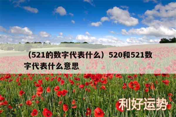 以及521的数字代表什么520和521数字代表什么意思