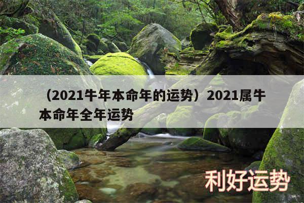 以及2024牛年本命年的运势2024属牛本命年全年运势