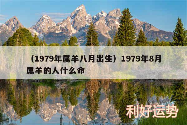 以及1979年属羊八月出生1979年8月属羊的人什么命