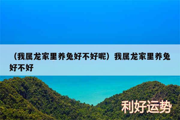 以及我属龙家里养兔好不好呢我属龙家里养兔好不好