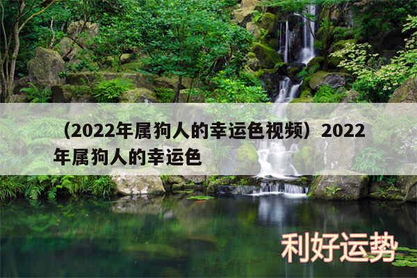 以及2024年属狗人的幸运色视频2024年属狗人的幸运色