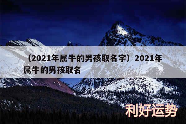 以及2024年属牛的男孩取名字2024年属牛的男孩取名