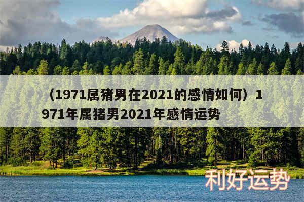 以及1971属猪男在2024的感情如何1971年属猪男2024年感情运势