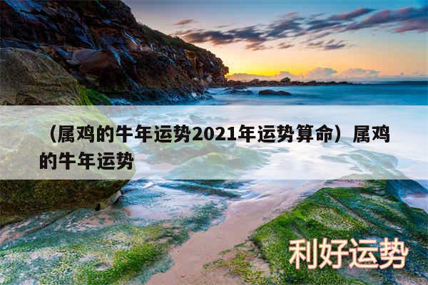 以及属鸡的牛年运势2024年运势算命属鸡的牛年运势