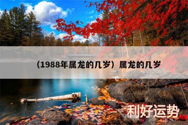 以及1988年属龙的几岁属龙的几岁