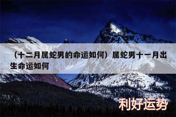 以及十二月属蛇男的命运如何属蛇男十一月出生命运如何