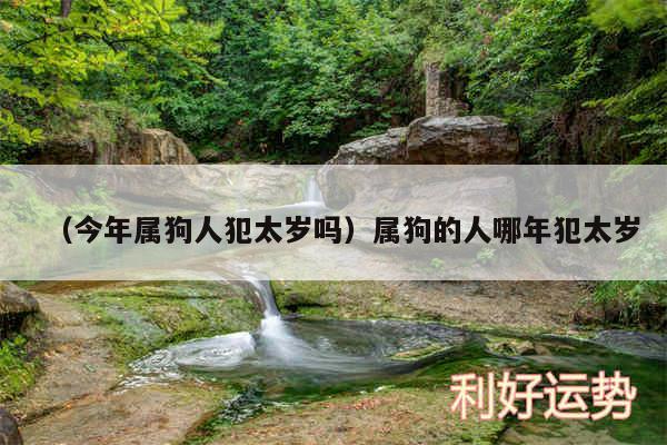 以及今年属狗人犯太岁吗属狗的人哪年犯太岁