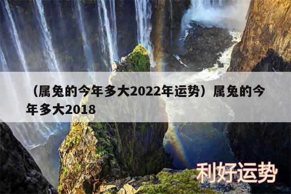 以及属兔的今年多大2024年运势属兔的今年多大2018