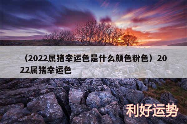 以及2024属猪幸运色是什么颜色粉色2024属猪幸运色