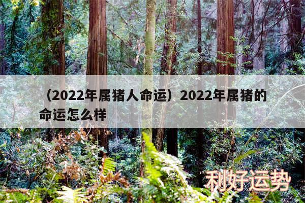 以及2024年属猪人命运2024年属猪的命运怎么样