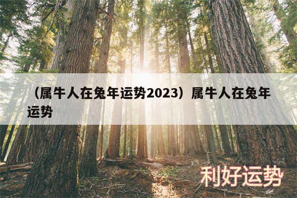 以及属牛人在兔年运势2024属牛人在兔年运势