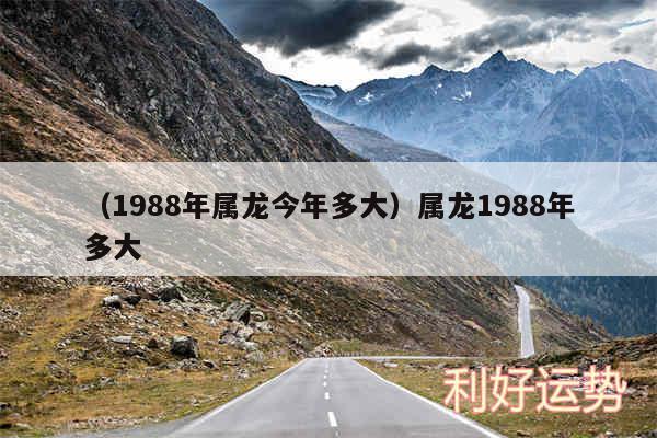 以及1988年属龙今年多大属龙1988年多大