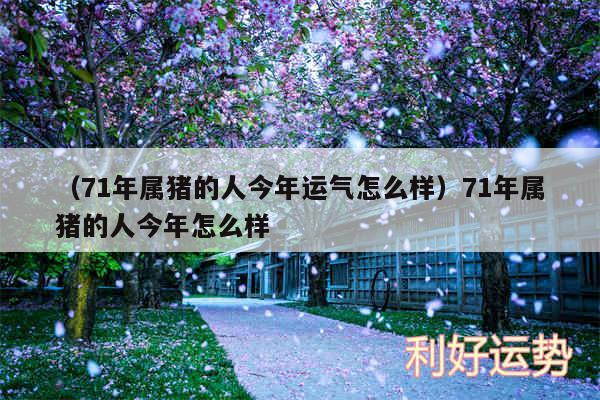 以及71年属猪的人今年运气怎么样71年属猪的人今年怎么样