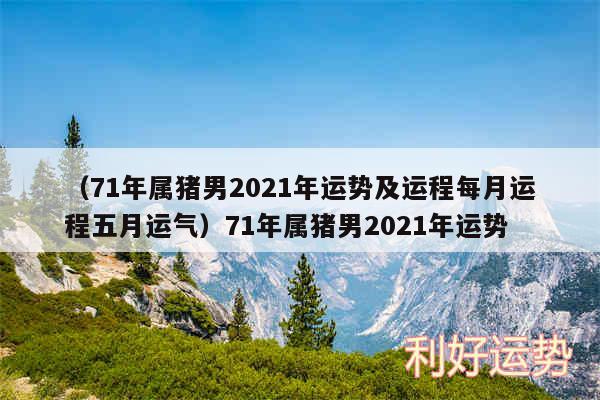 以及71年属猪男2024年运势及运程每月运程五月运气71年属猪男2024年运势